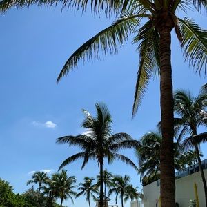 Meet your Posher, Shira